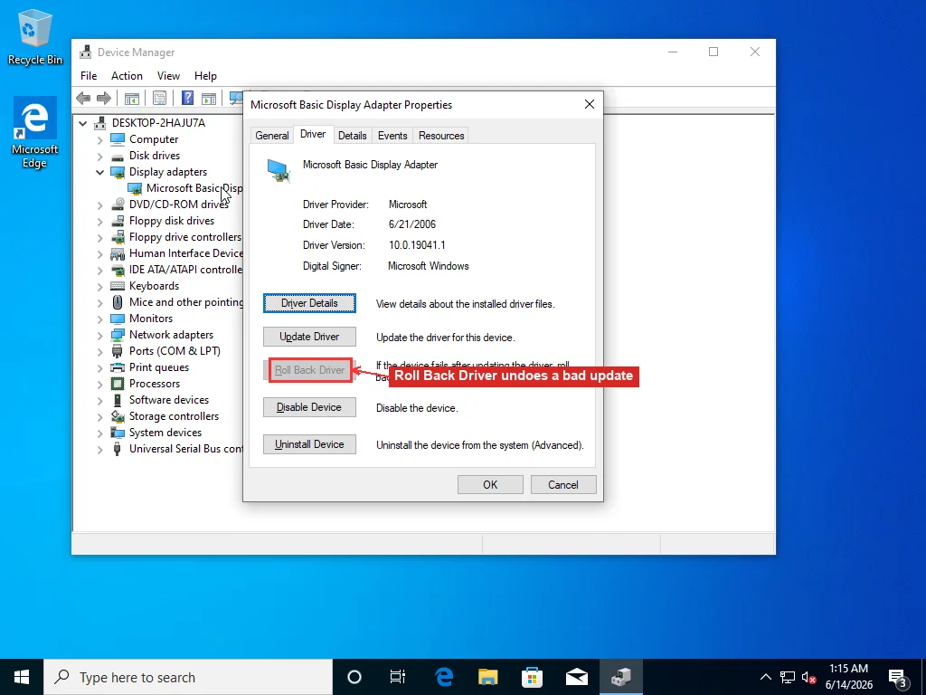 The Driver tab of a graphics adapter's Properties in Device Manager, with the Roll Back Driver button highlighted
