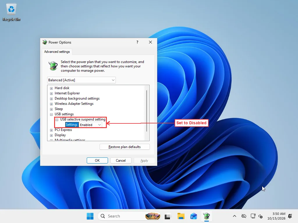 Power Options advanced settings with USB settings expanded and USB selective suspend setting set to Enabled