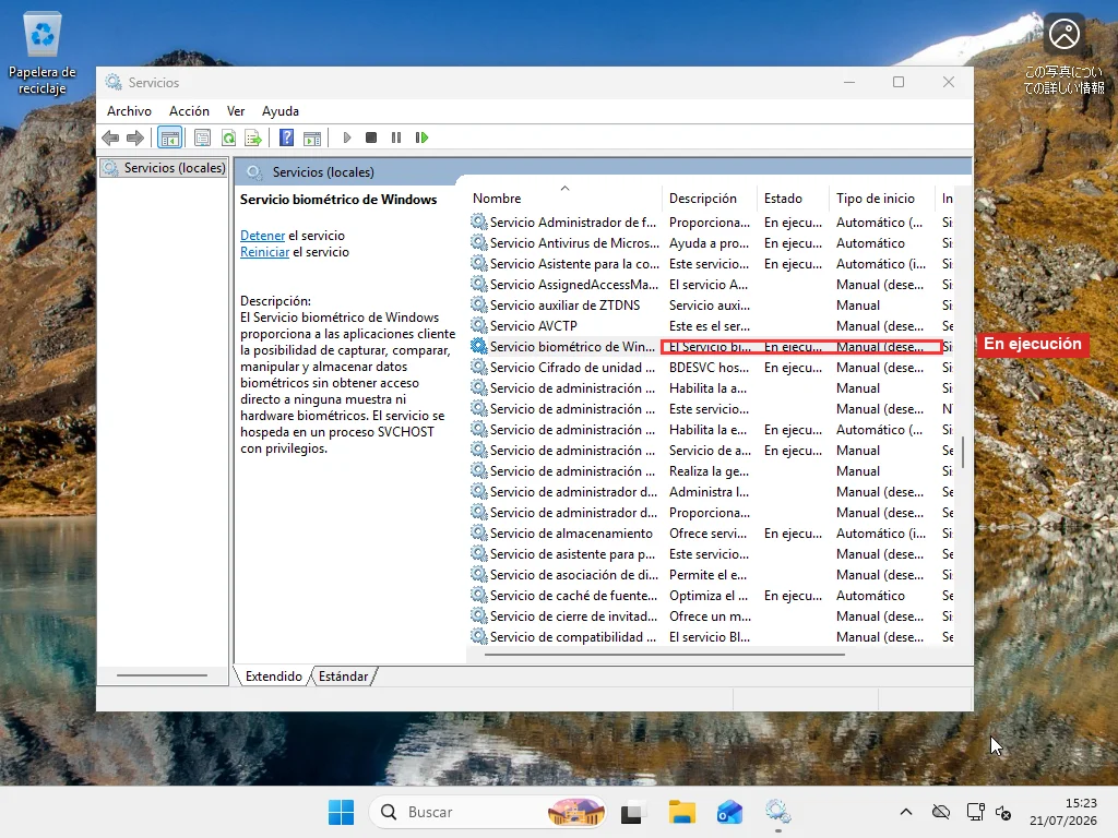Consola de Servicios de Windows 11 mostrando el estado y tipo de inicio del Servicio biométrico de Windows
