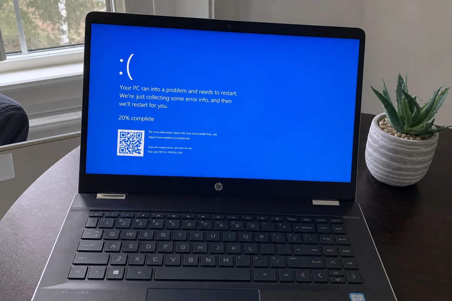 HP laptop on desk showing Windows Blue Screen of Death with sad face emoticon, QR code, and CRITICAL_PROCESS_DIED stop code, succulent plant beside it